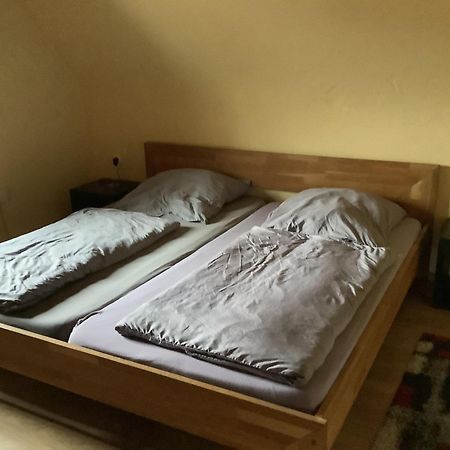 Hirschbach  Ferienwohnung Eva Und Alexander מראה חיצוני תמונה
