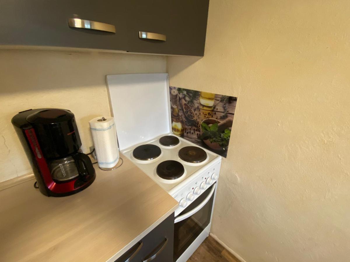 Hirschbach  Ferienwohnung Eva Und Alexander מראה חיצוני תמונה