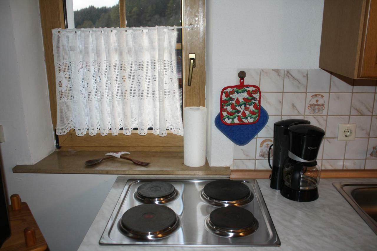 Hirschbach  Ferienwohnung Eva Und Alexander מראה חיצוני תמונה